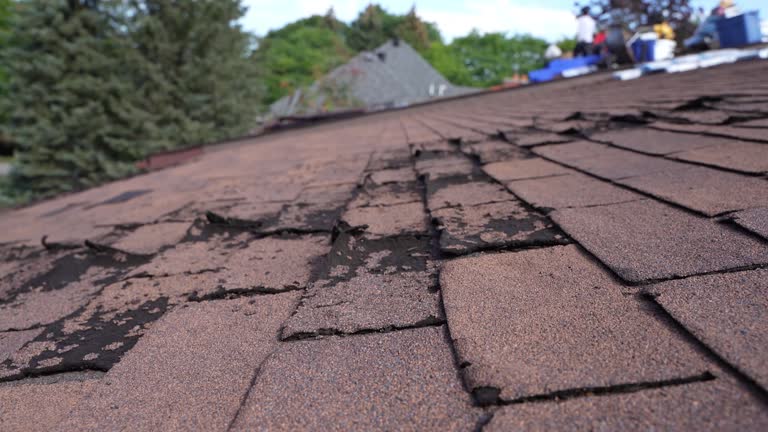 Best Emergency Roof Repair Services  in Fairforest, SC