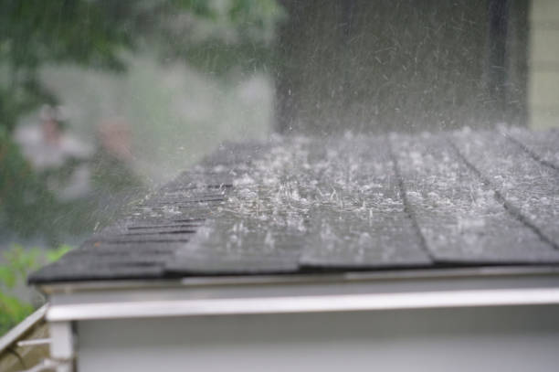 Best Roof Maintenance and Cleaning  in Fairforest, SC